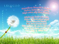 /album/kepes-oldal/lelegzo-csillagom-jpg/